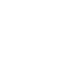 Grünbelag Entferner