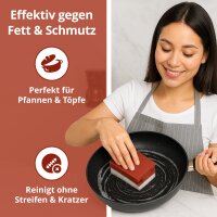 Ricostar Extreme Power Reinigungsschwämme – 10er Pack (Rot)