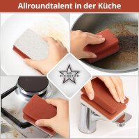 Ricostar Extreme Power Reinigungsschwämme – 10er Pack (Rot)