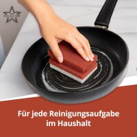 Ricostar Extreme Power Reinigungsschwämme – 10er Pack (Rot)