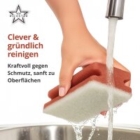 Ricostar Extreme Power Reinigungsschwämme – 10er Pack (Rot)