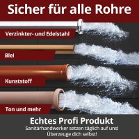 Ricostar Abflussreiniger - Karton á 12 Flaschen