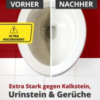 Ricostar Urinstein-Killer – Karton á 12 Flaschen