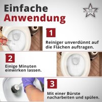 Ricostar Urinstein-Killer – Karton á 12 Flaschen