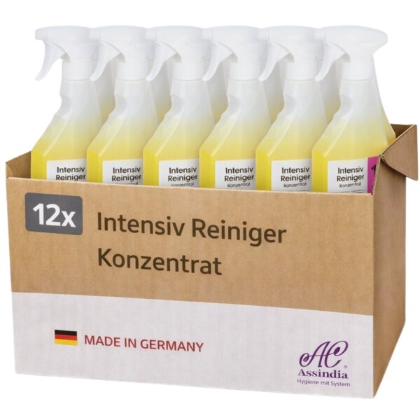 Assindia Intensiv-Reiniger Konzentrat 500 ml – Karton á 12 Flaschen