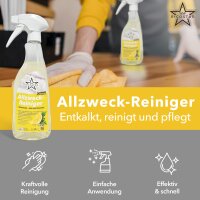 Ricostar Allzweckreiniger – Karton á 12 Flaschen