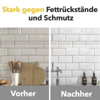 Ricostar Allzweckreiniger – Karton á 12 Flaschen