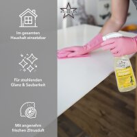 Ricostar Allzweckreiniger – Karton á 12 Flaschen