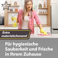 Ricostar Allzweckreiniger – Karton á 12 Flaschen