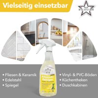 Ricostar Allzweckreiniger – Karton á 12 Flaschen