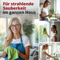 Ricostar Mikrofaser-Tücher  Grün – 10 Stück